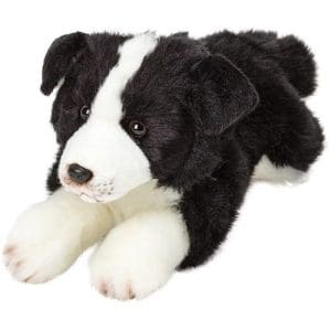 *A Grade* Resting Border Collie