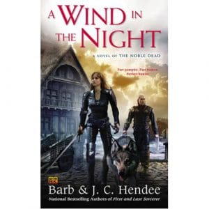 A Wind in the Night - (Paperback)