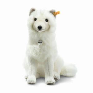 Arkin arctic fox, white