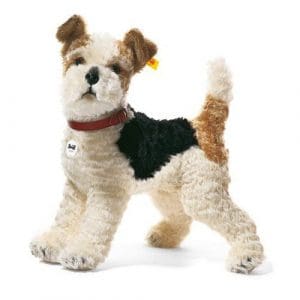 Foxy Fox Terrier, White/Brown/Black