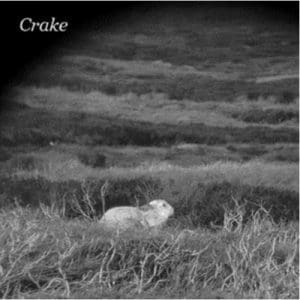 Crake: Enough Salt - Vinyl