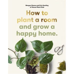 How to plant a room