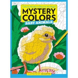 Mystery Colors: Birds