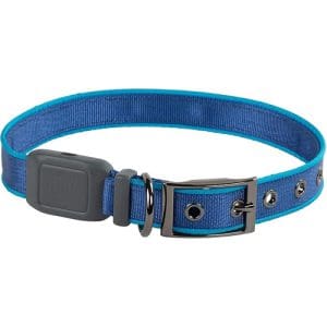 NiteDog Rechargeable LED Collar Blue Large