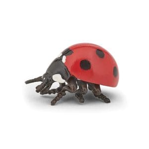 Papo: Ladybird