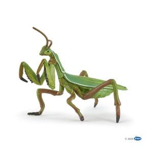 Papo: Praying mantis