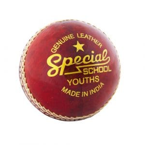 Readers Special School Cricket Ball - Youths