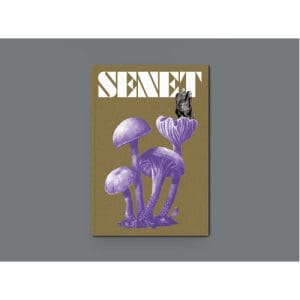 Senet Magazine Issue 12