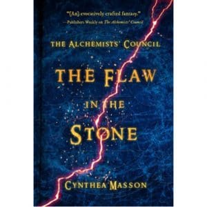 The Flaw in the Stone - (Paperback)