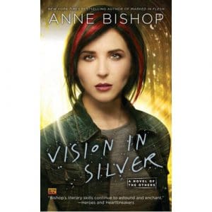 Vision in Silver - (Paperback)